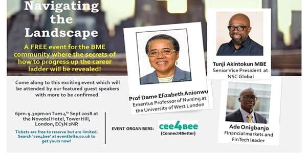 The Navigating the Landscape leaflet: a free event for the BME community, Tuesday 4 September 2018, Novotel Hotel Tower Hill, London